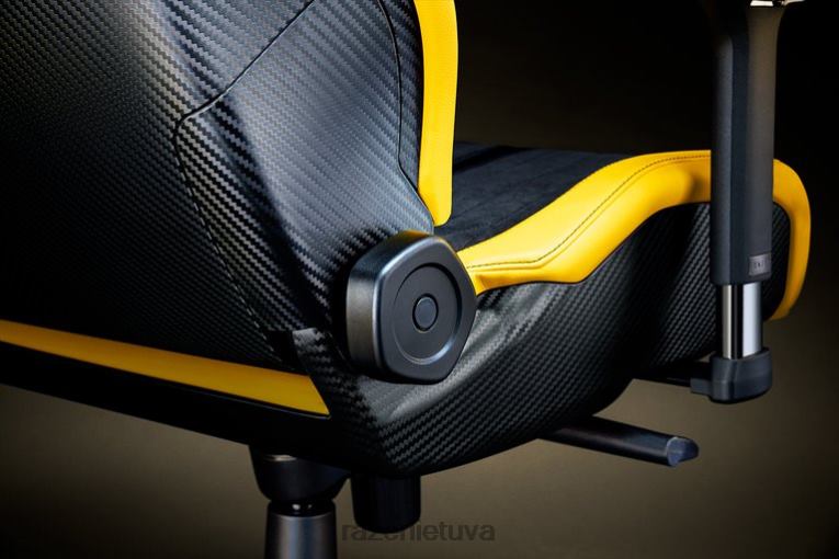 Razer žaidimų kėdė vienos spalvos enki pro - koenigsegg leidimas ZNZXF123