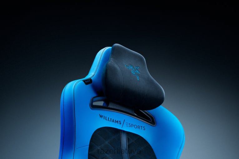 Razer žaidimų kėdė vienos spalvos enki pro - williams esports leidimas ZNZXF124