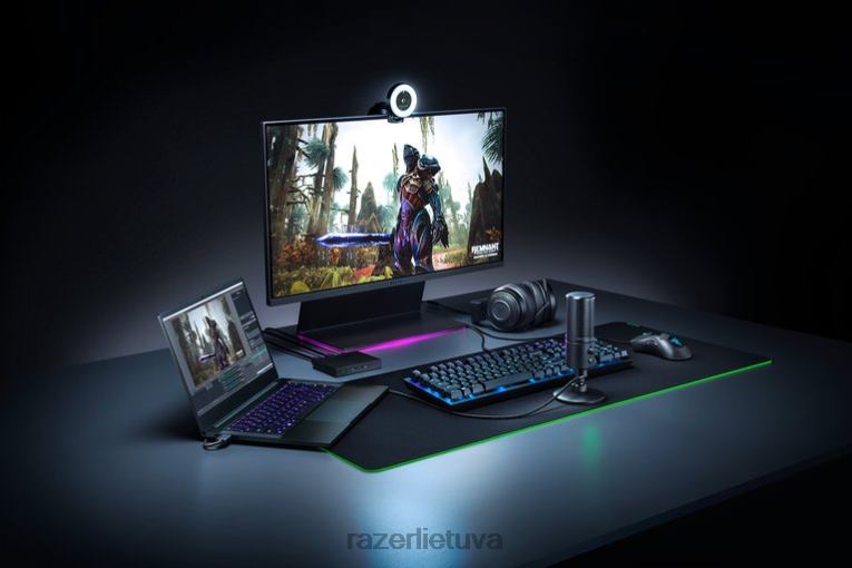 Razer turinio kūrimas juodas seiren ZNZXF112