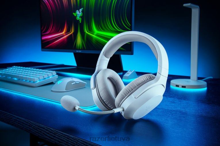 Razer žaidimų garsas vienos spalvos barakuda – gyvsidabris ZNZXF92