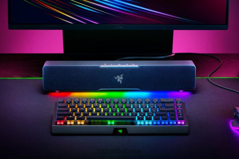 Razer žaidimų garsas vienos spalvos leviathan v2 x ZNZXF84