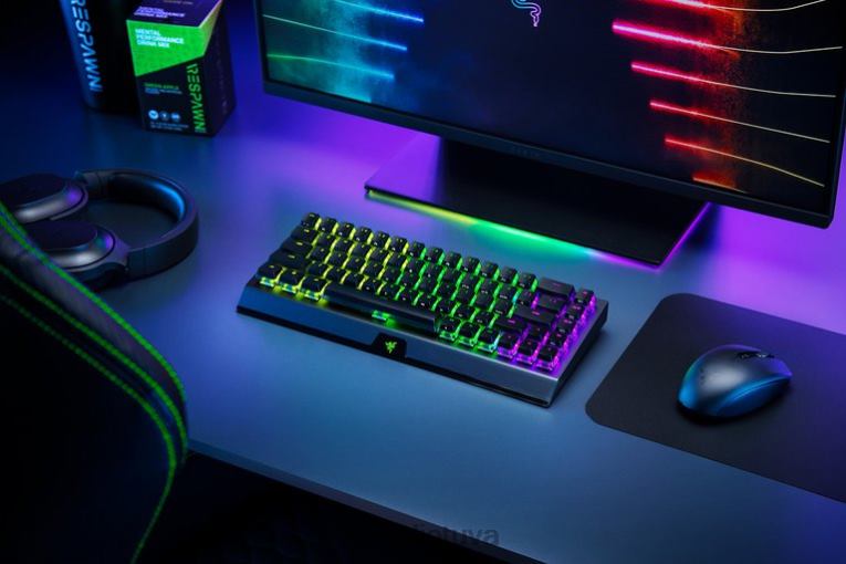 Razer klaviatūra juodas blackwidow v3 mini hyperspeed – fantominis leidimas – geltonas jungiklis – mus ZNZXF64