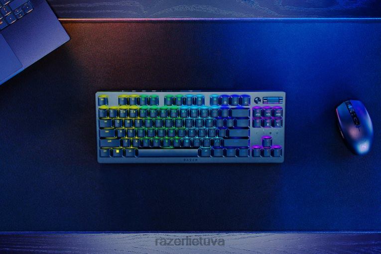 Razer klaviatūra juodas deathstalker v2 pro tenkeyless – spragtelėjęs optinis jungiklis – mus ZNZXF66