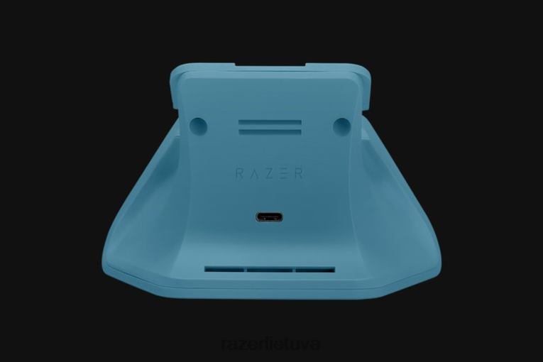 Razer konsolė vienos spalvos universalus greito įkrovimo stovas xbox - mineralinis kamino ZNZXF170
