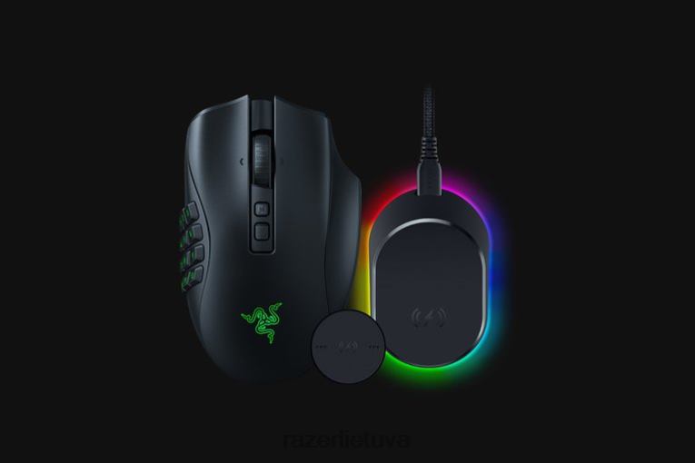 Razer pelėms vienos spalvos naga v2 pro + pelės doko pro rinkinys ZNZXF44